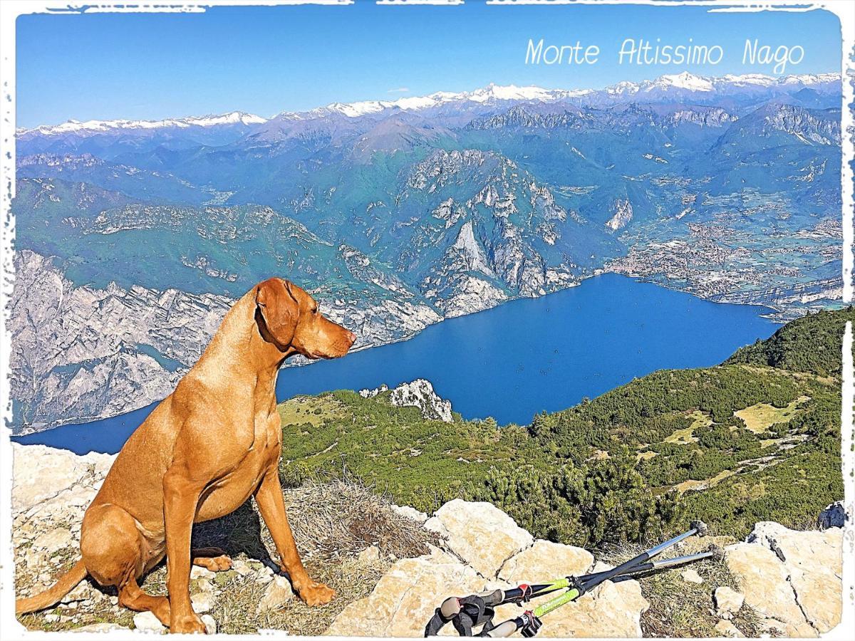 Viewlake Apartment Torbole Sul Garda Exterior foto